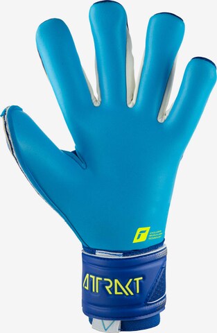 REUSCH Athletic Gloves 'Attrakt Aqua' in Blue