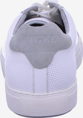 Digel Sneakers in White