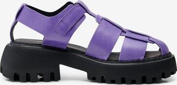 Shoe The Bear Sandals in Purple