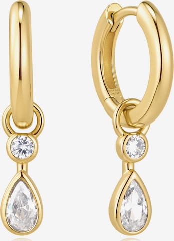 ANIA HAIE Ohrringe in Gold: Vorderseite