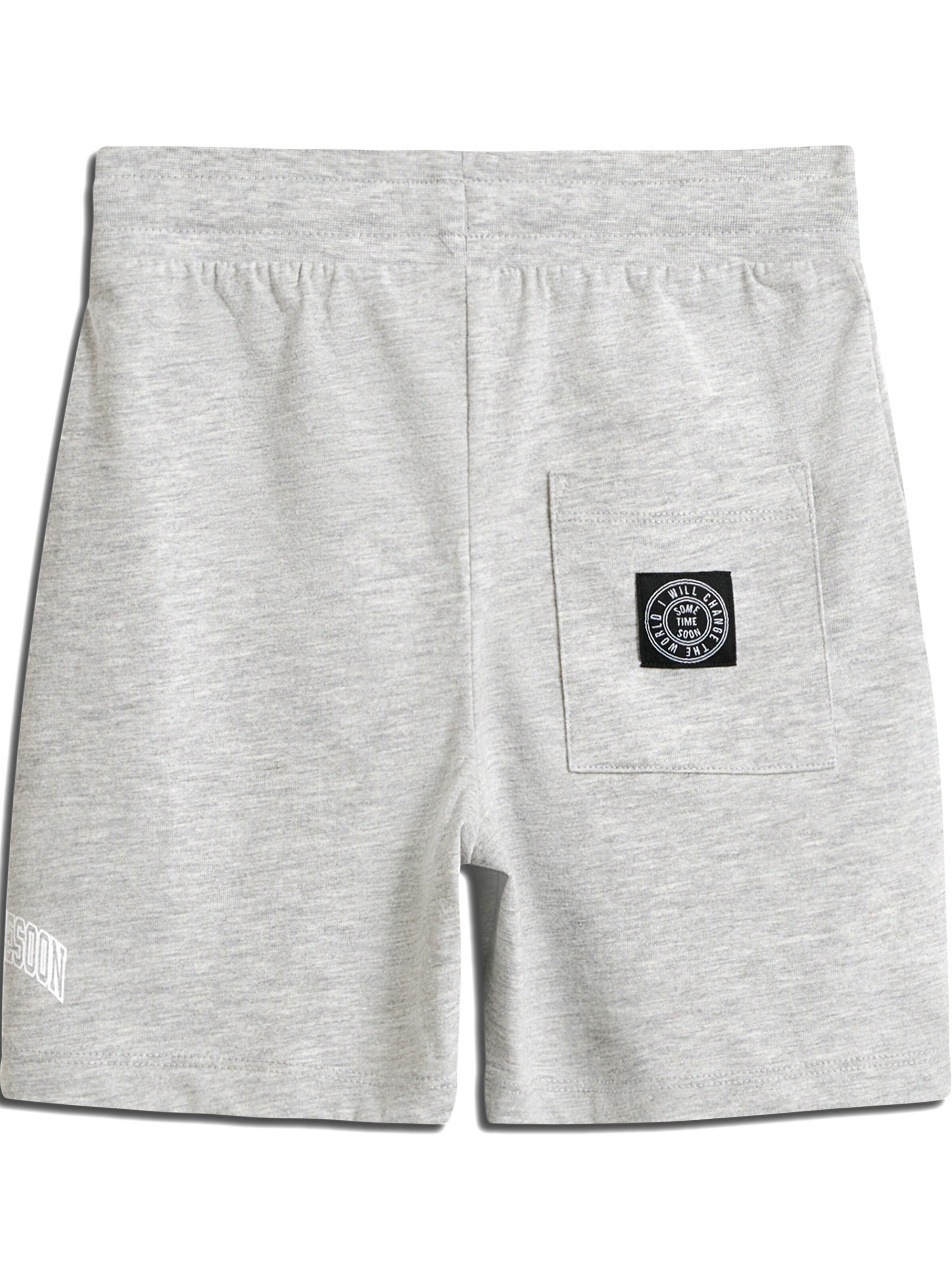 SOMETIME SOON regular Bukser i grå