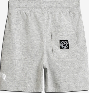 SOMETIME SOON Regular Shorts in Grau