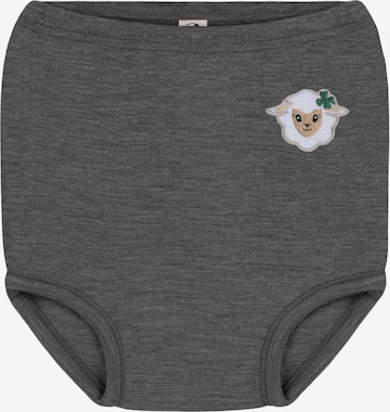 normani Onderbroek in Grijs: voorkant