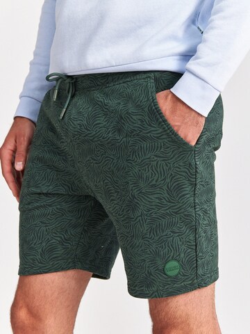 Shiwi tavaline Püksid, värv roheline
