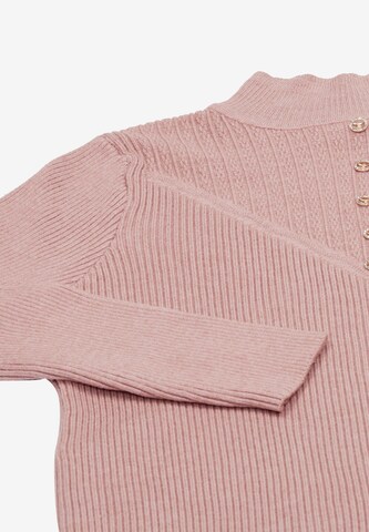 tassia Sweater in Pink