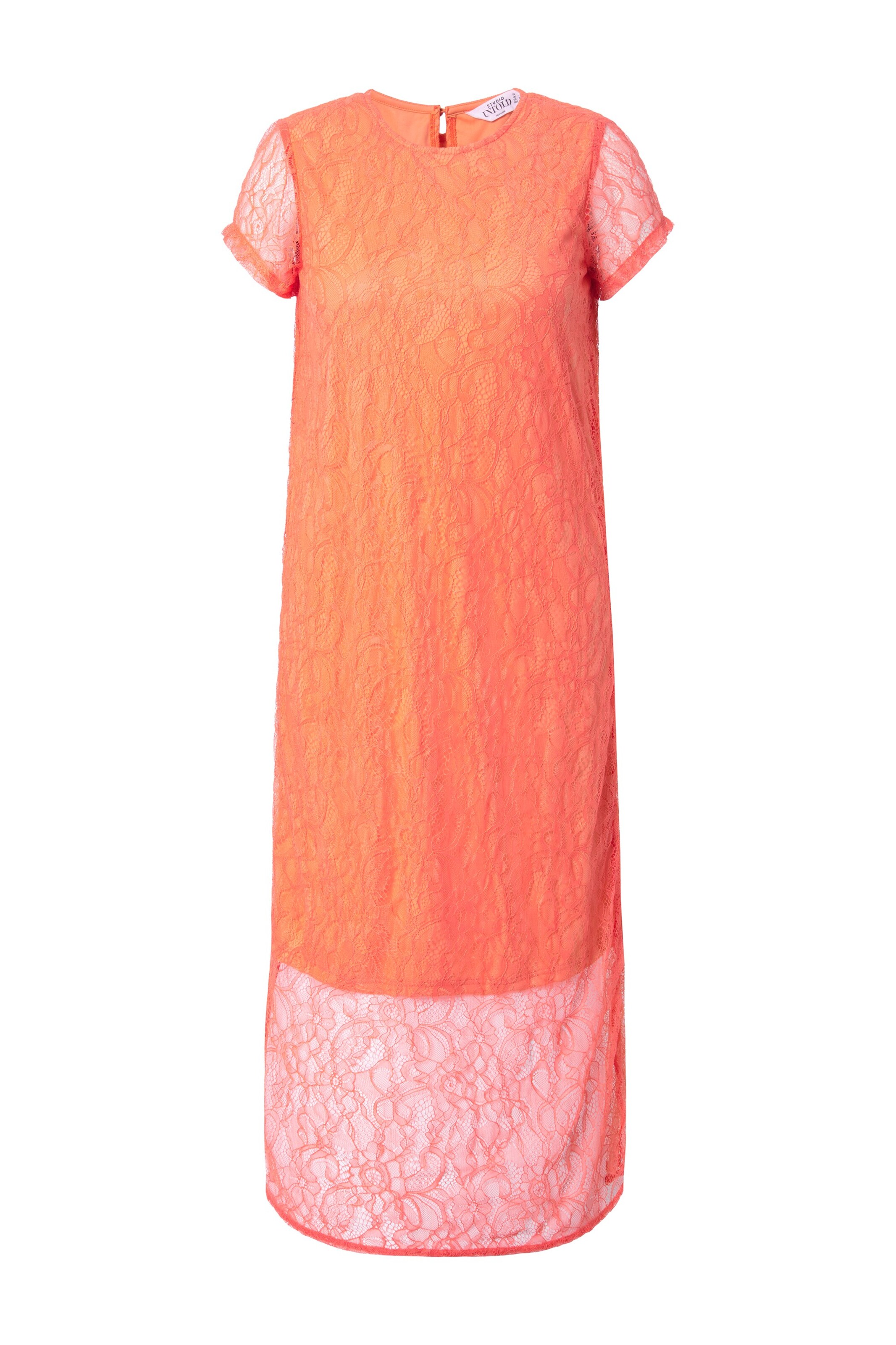 Studio Untold Kleid in Orange: Vorderseite