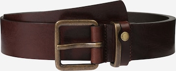 Ceinture 'KATCHUP' Ted Baker en marron : devant