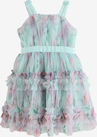 žalia Baker by Ted Baker Suknelė: priekis