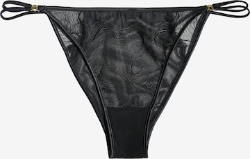 juoda Next Siaurikės: priekis