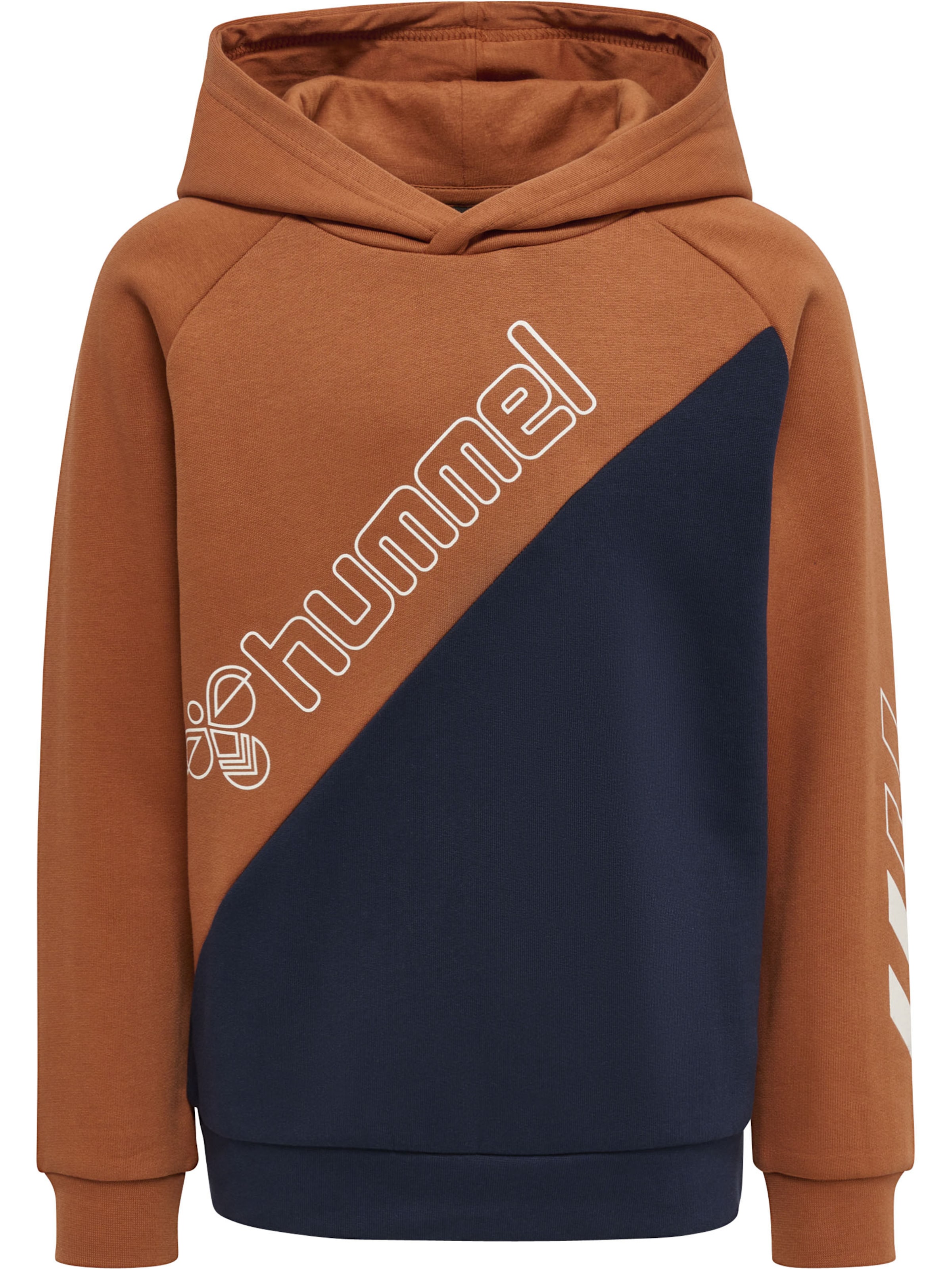 Hummel Sweatshirt 'Axel' in Brown: front