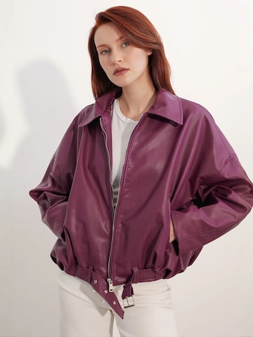 Veste d’hiver 'Jacken' Bigdart en violet : devant