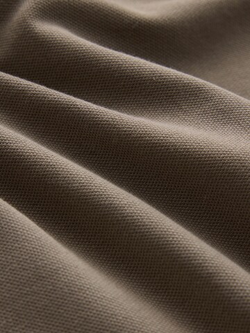 Next Shirt in Mischfarben