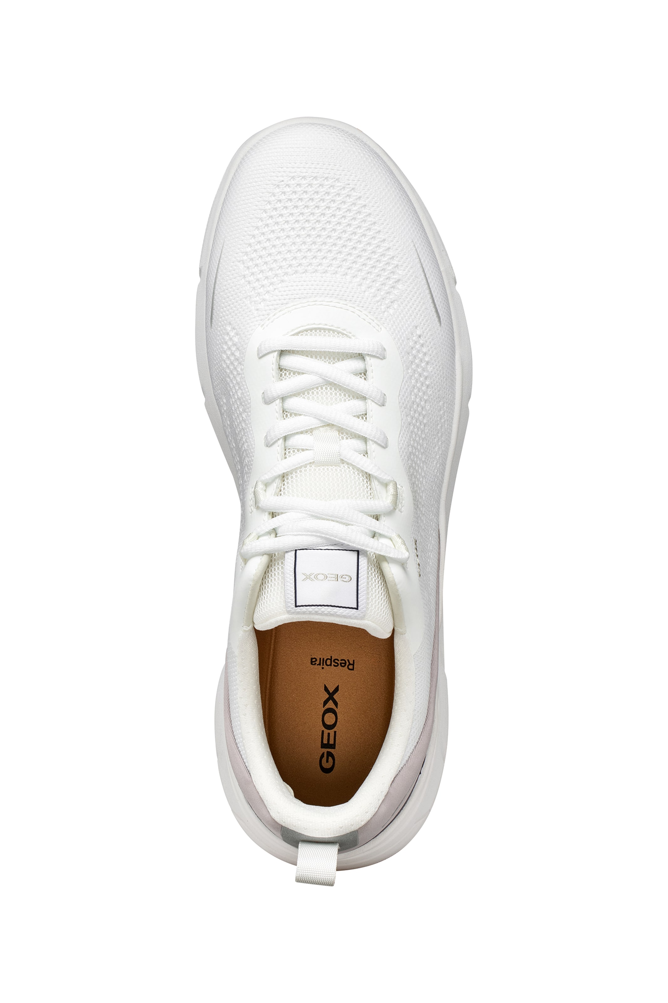 GEOX Sneakers in White