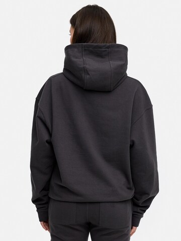 Daily Cotton Sweatshirt 'DCTERUEL' in Grey