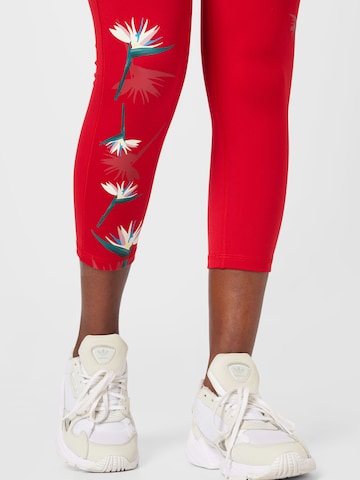 ADIDAS SPORTSWEAR Skinny Workout Pants 'Thebe Magugu Studio ' in Red