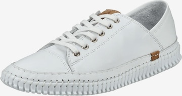 Chaussure à lacets ANDREA CONTI en blanc : devant