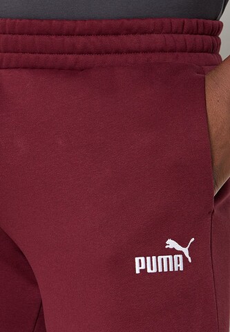 raudona PUMA Siaurėjantis Sportinės kelnės 'Ess No.1'