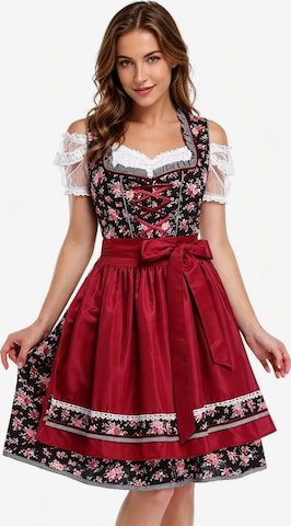 KoJooin Dirndl in Rot: Vorderseite