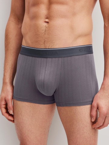 CALIDA Boxershorts 'Pure & Style' in Grijs