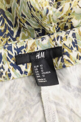 H&M Shorts XL in Grün