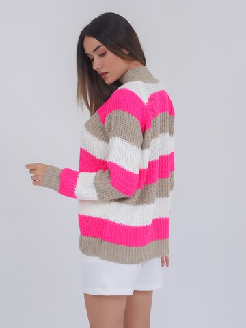 FRESHLIONS Sweater 'Ebba ' in Mixed colors
