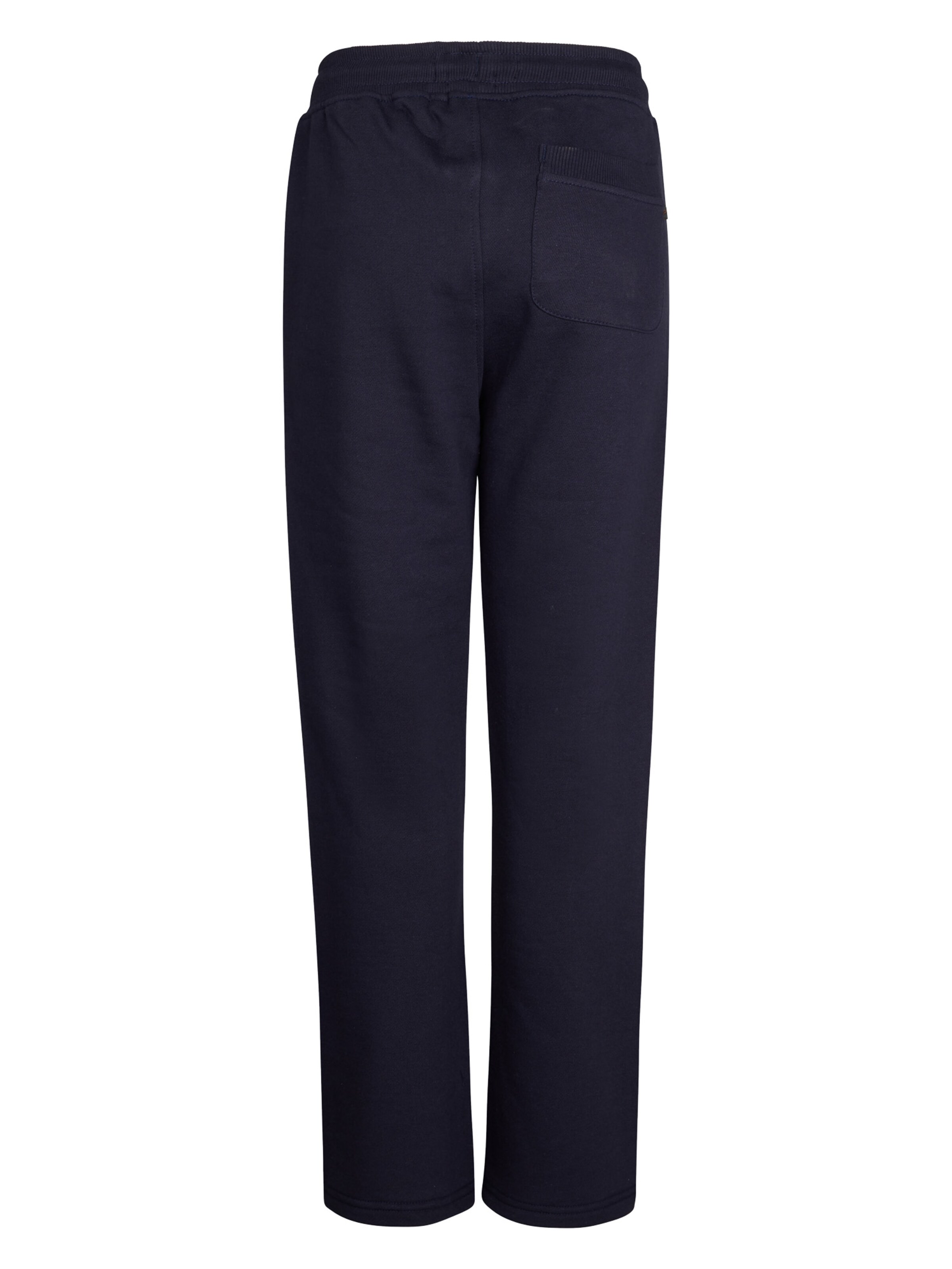 Petrol Industries Regular Trousers in Blue