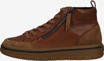 Paul Green Sneakers laag in Bruin