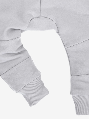 NINI Regular Pants in Grey