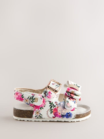 Baker by Ted Baker Sandal i blandade färger