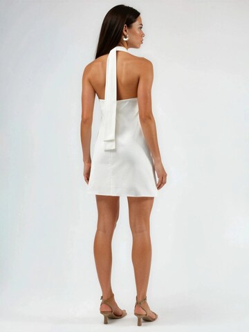 Hiccup Dress in White