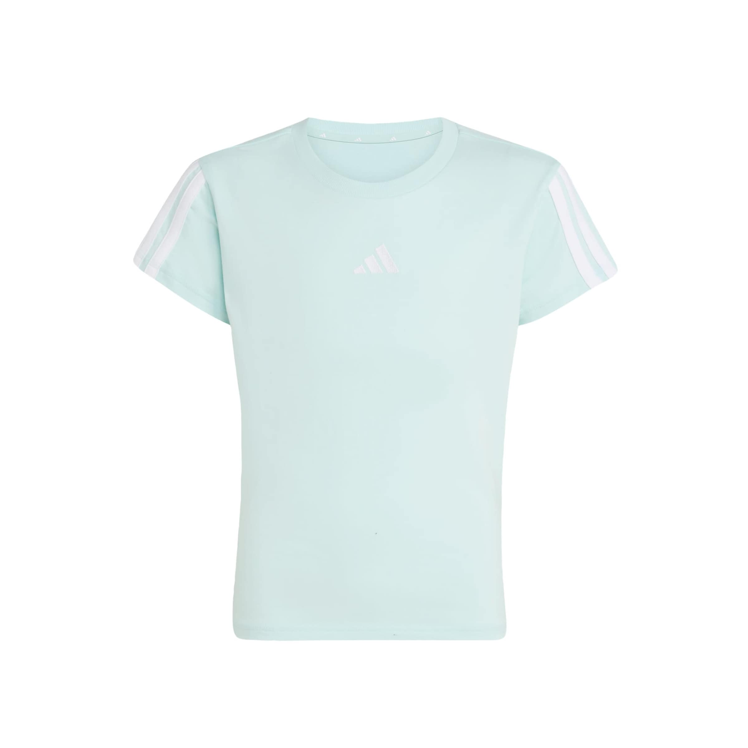 ADIDAS SPORTSWEAR - Camiseta funcional 'Essentials' en verde: frente