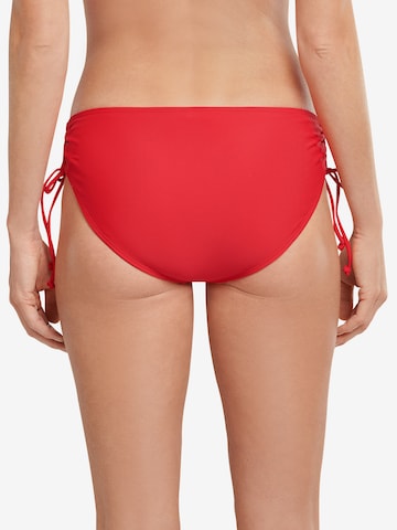 SCHIESSER Bikini Bottoms 'Aqua Mix & Match Nautical' in Red