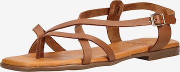 Oh! My Sandals T-bar sandals in Brown: front