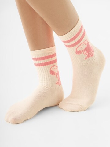 CODELLO Socks in Mixed colors: front