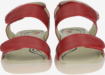 Softinos Sandalen met riem in Rood