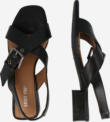 ABOUT YOU Sandals 'Jennifer' in Black