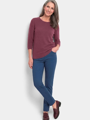 Goldner Pullover in Lila