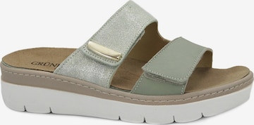 Mule Grunland en vert : devant