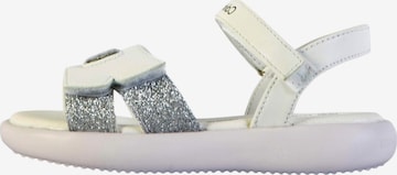 Sandales Calvin Klein en blanc : devant