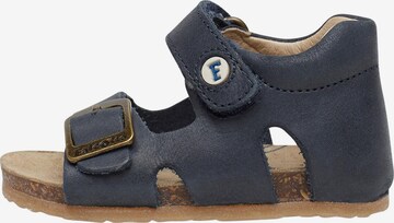 Falcotto Open shoes 'BEA' in Blue: front