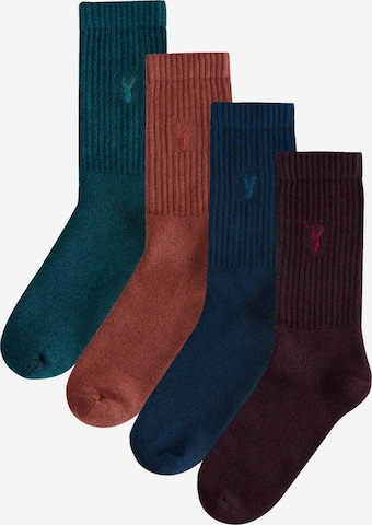 Next Socks in Mixed colors: front