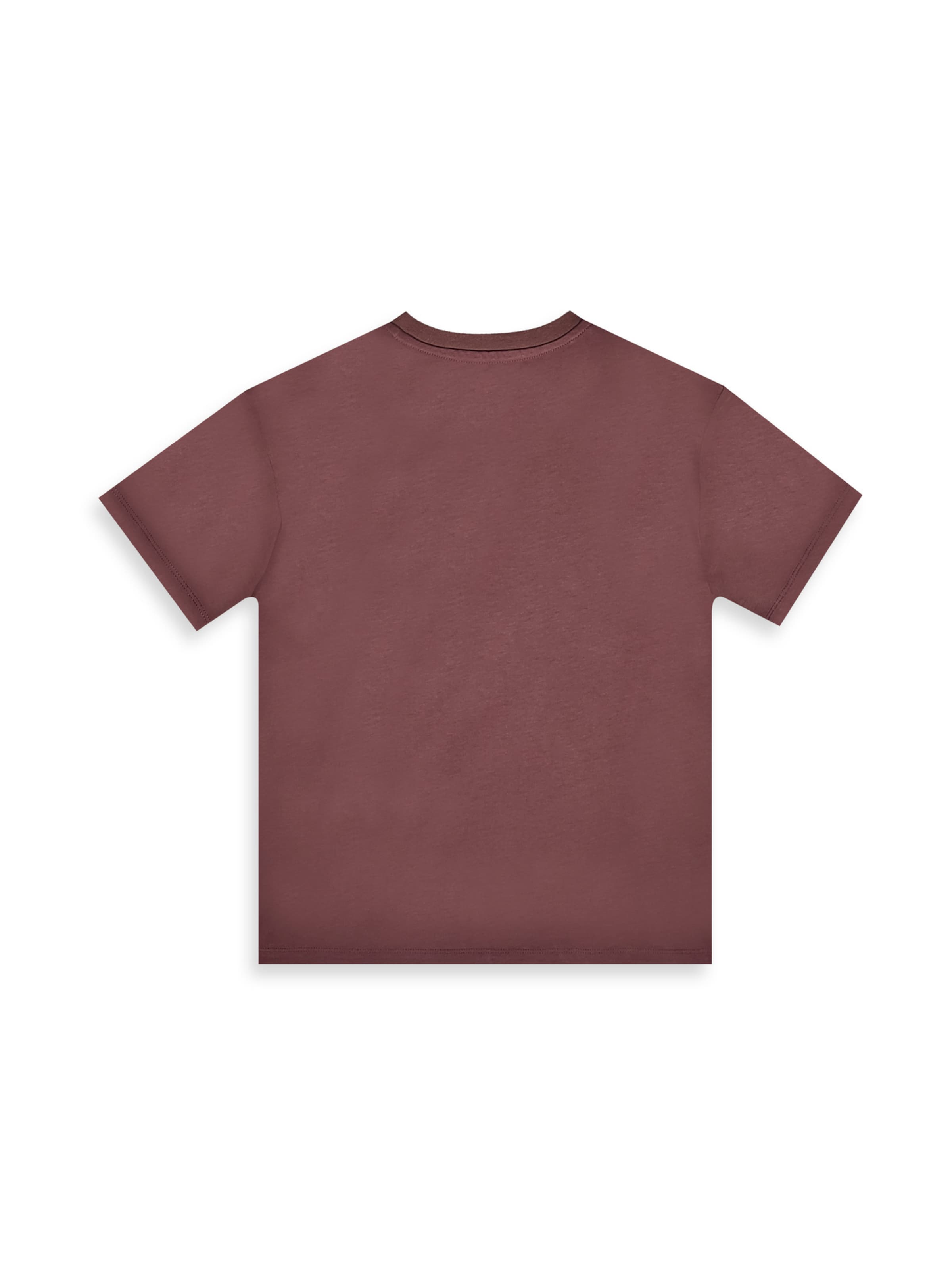 Denokids Set in Brown