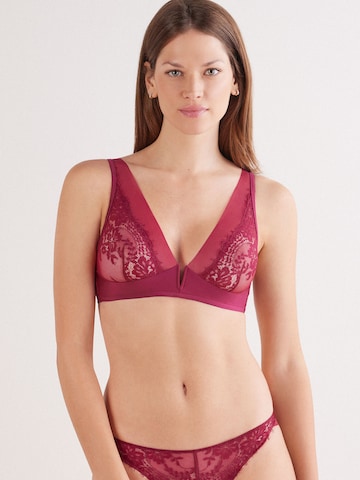 INTIMISSIMI Triangle Bra in Purple: front