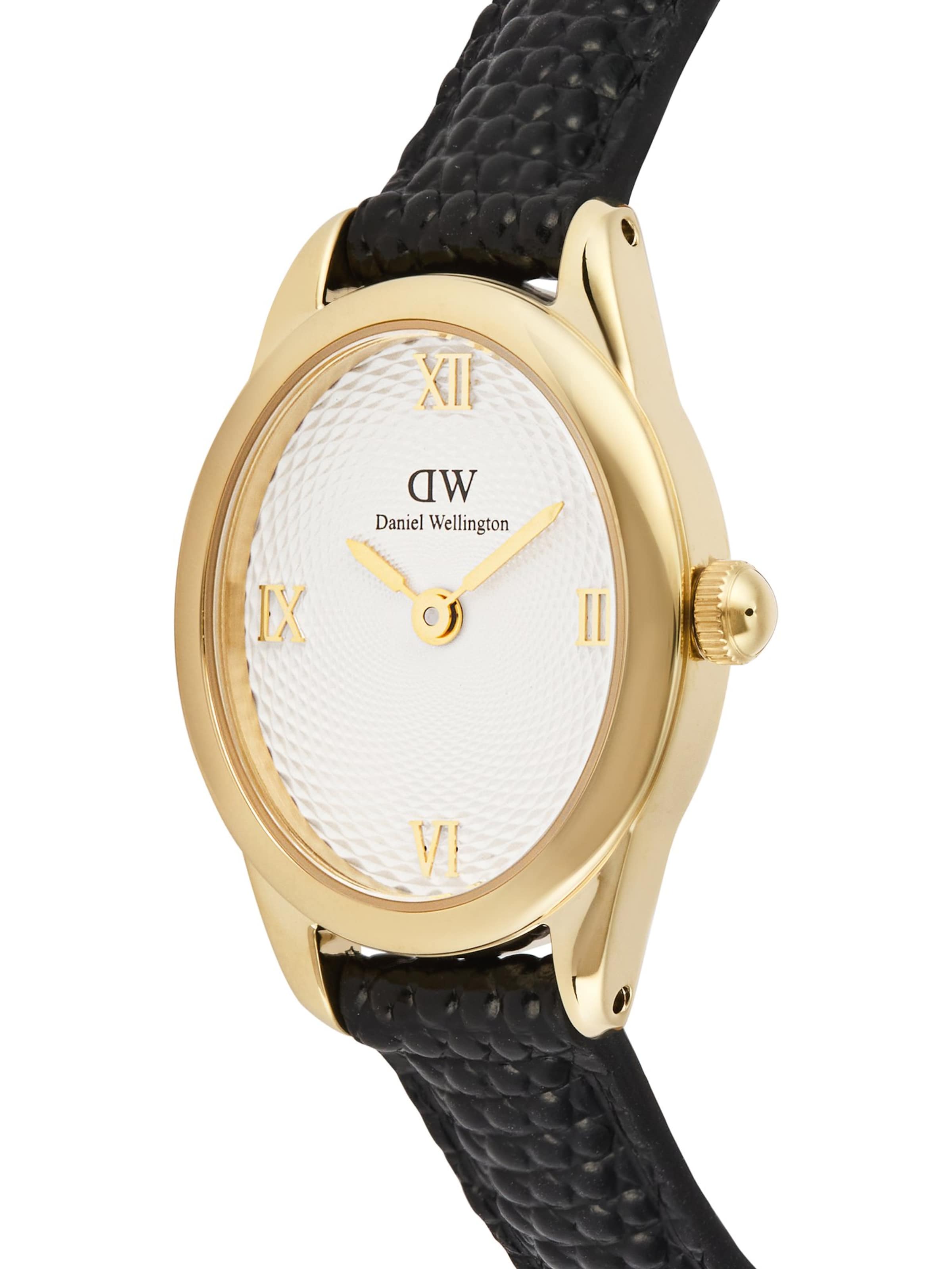 Daniel Wellington Analoguhr in Gold