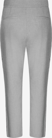 Raffaello Rossi Regular Pants in Grey
