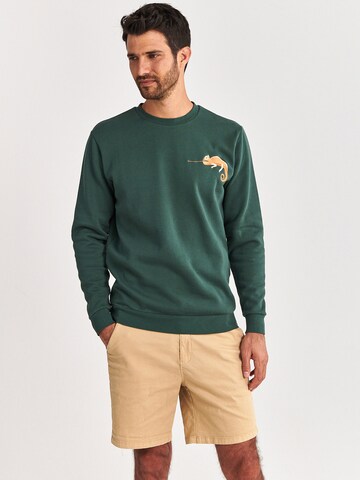 Shiwi Sweatshirt 'Cameleon' in Grün: Vorderseite