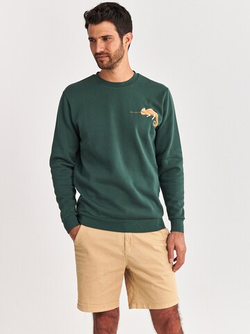 Shiwi Sweatshirt 'Cameleon' in Green: front