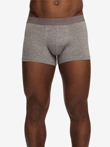 ESPRIT Boxershorts in Mischfarben