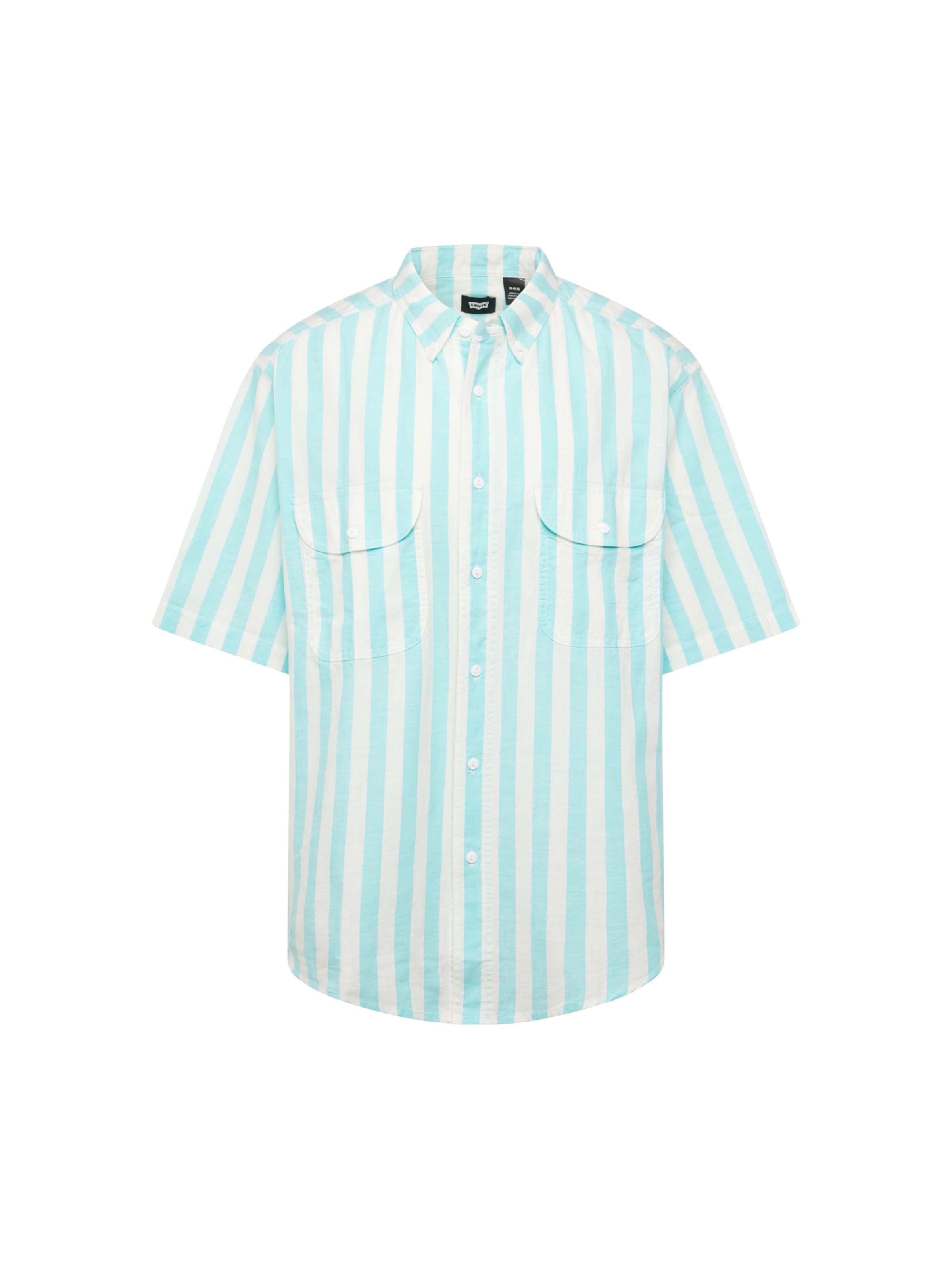Levi's Skateboarding Button Up Shirt 'Skate SS Woven' in Blue: front