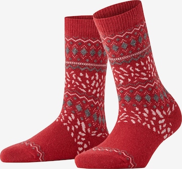 FALKE Socken 'Cosy Wool Special Edition' in Rot: Vorderseite